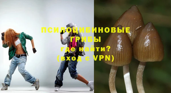 Альфа ПВП Алзамай